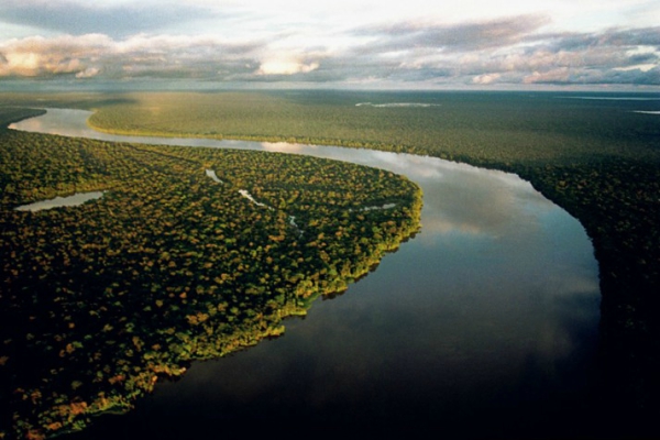 Garmin Brasil