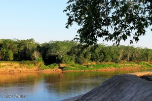 guajará