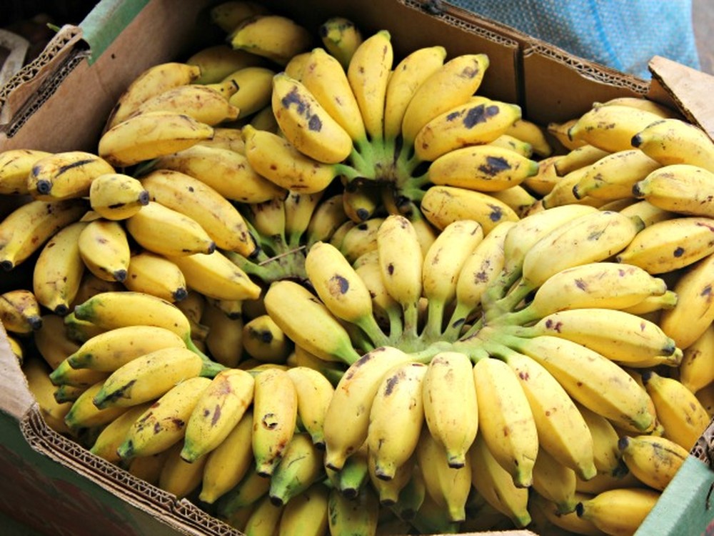 banana